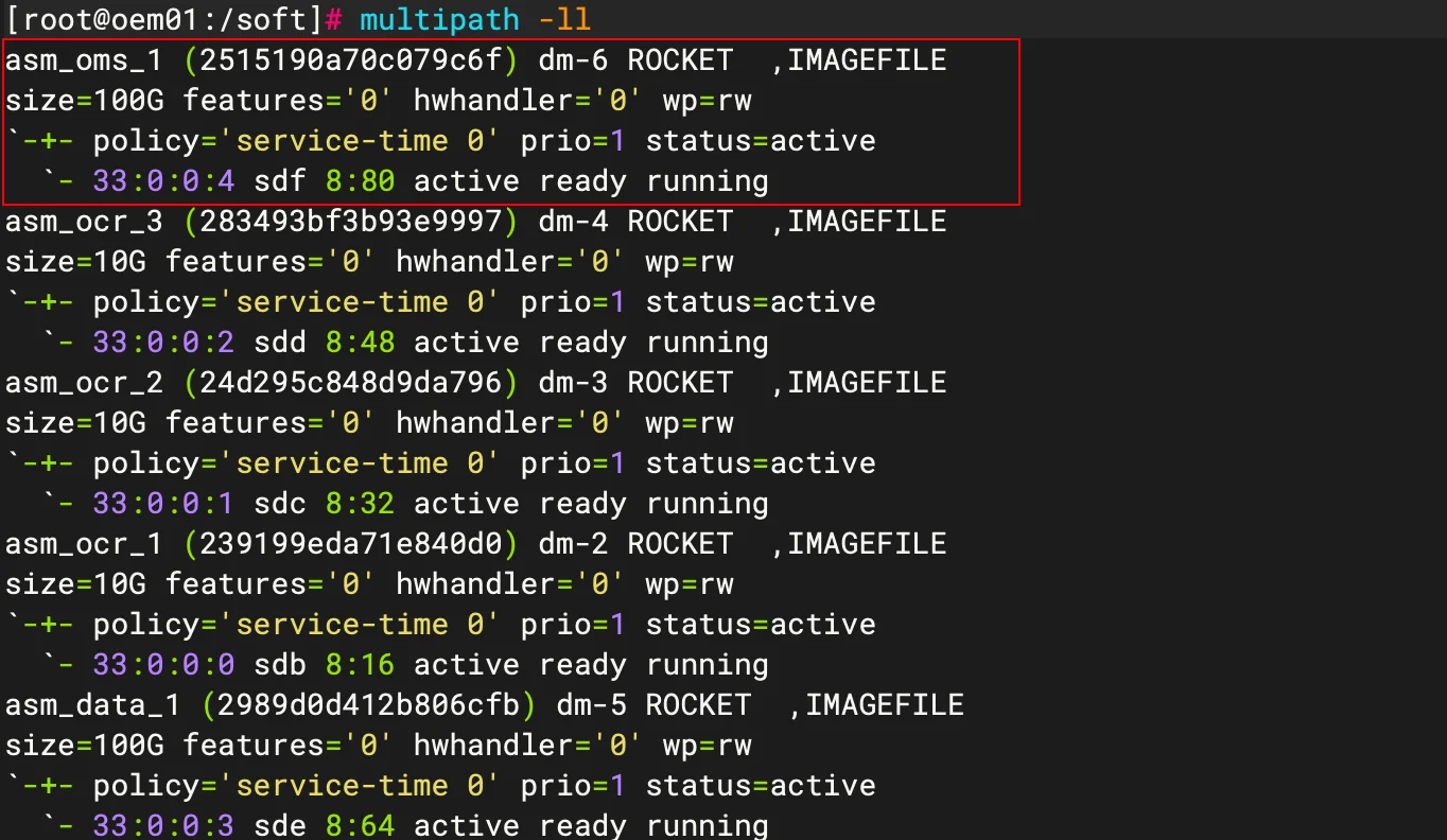 multipath 生效验证