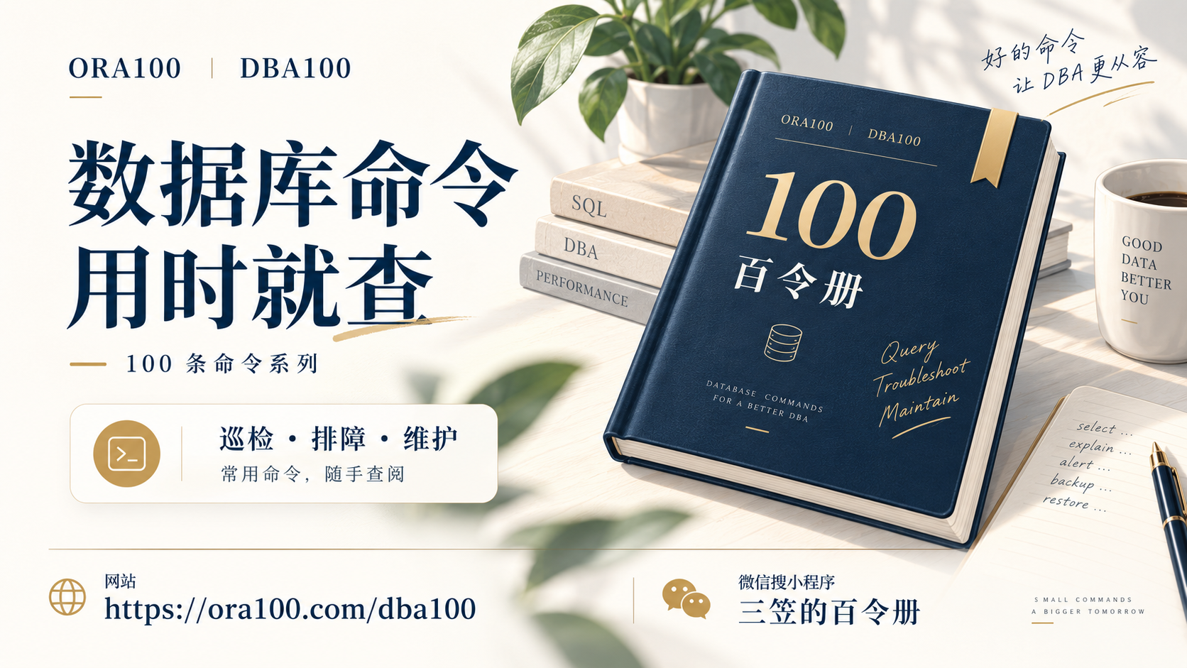 ORA100 DBA100 系列海报