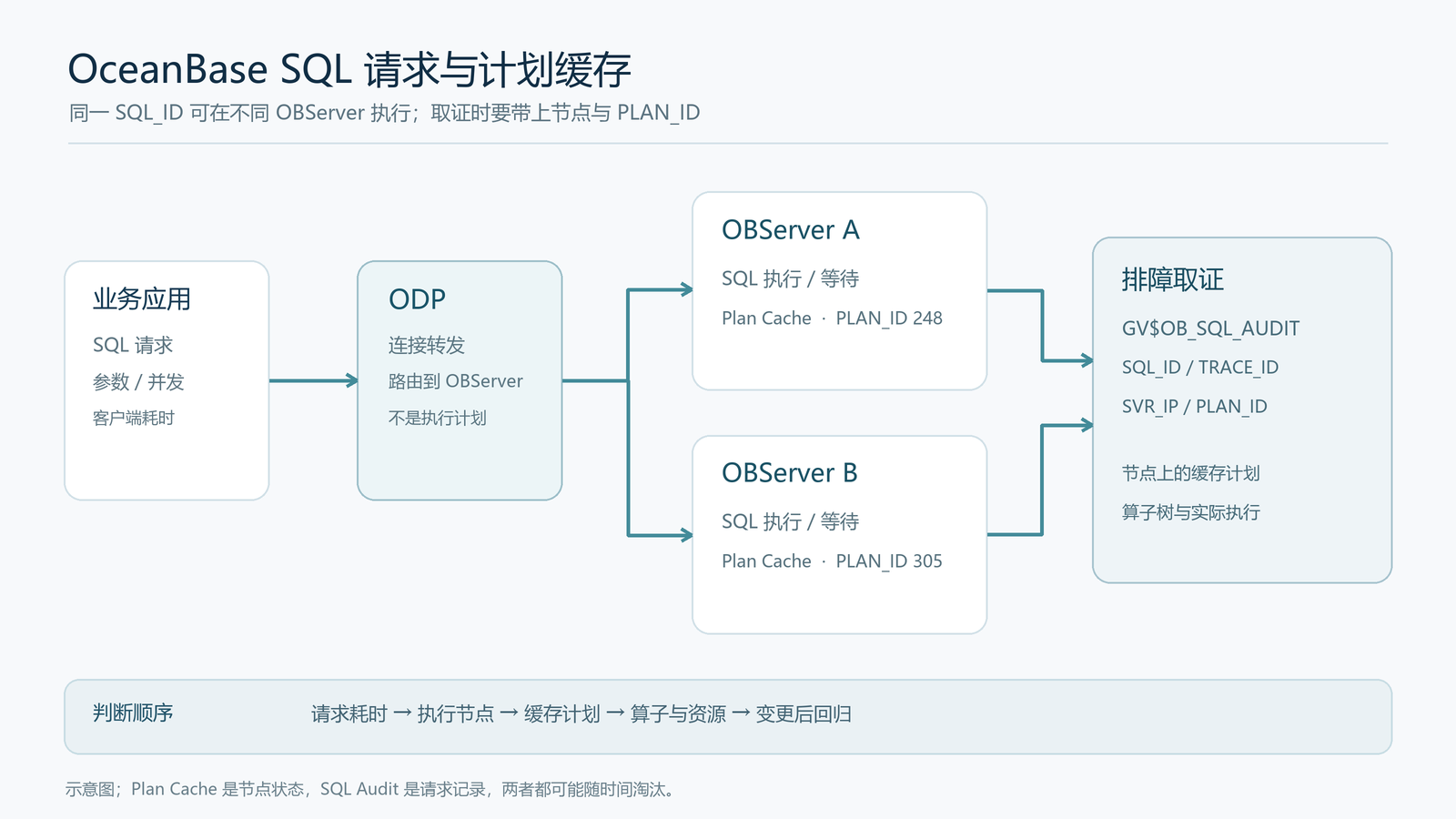 OceanBase SQL 请求经 ODP 落在不同 OBServer、各节点缓存执行计划的示意